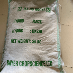 DK920 Maize Seed – High-Yield | Bag